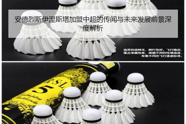 安德烈斯伊涅斯塔加盟中超的传闻与未来发展前景深度解析